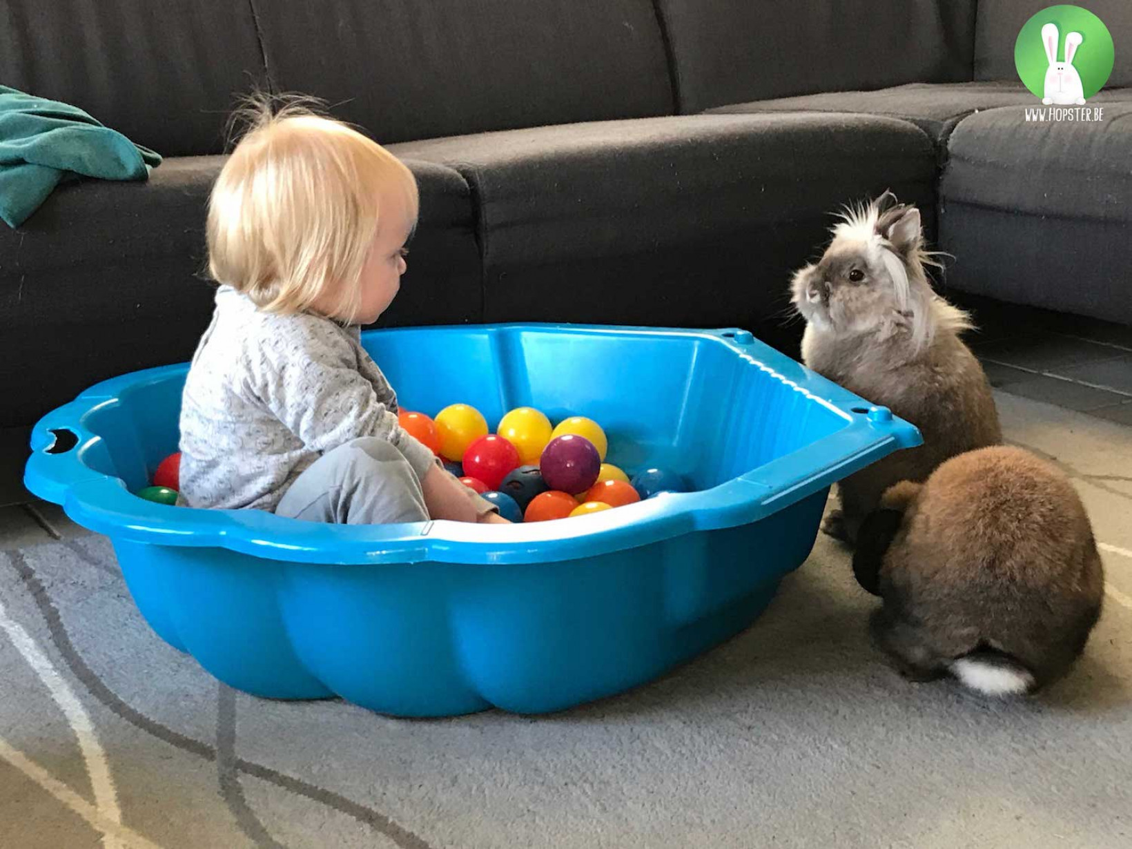 Kinderen en konijnen